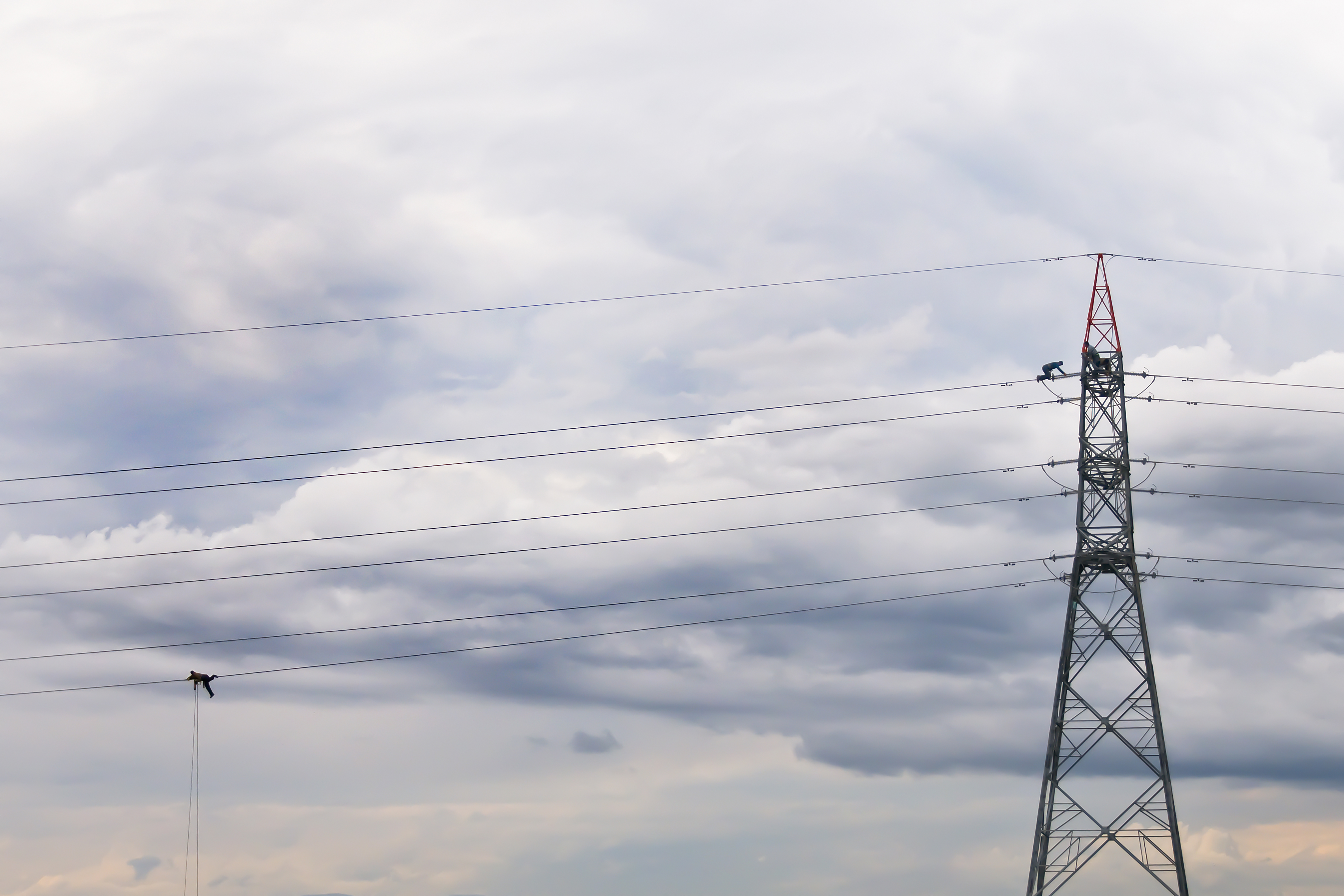 Elektrikçi Kuşlar