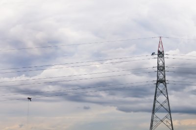 Elektrikçi Kuşlar