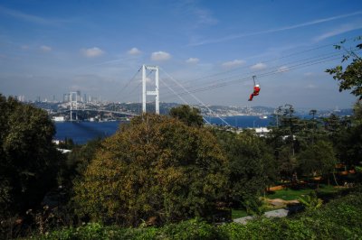 zipline